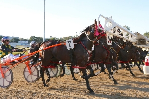 The Qld carnival kicks off at Albion park on Saturday night