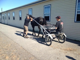 Trent Moffat gets some education in the jog cart at Gateway Farms, New Jersey