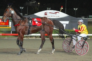 Challenging: The Ian Gurney trio of Avonnova (pictured), Our Hi Jinx and Mach Alert all face difficult draws on the opening night of the TABTOUCH Inter Dominion series in Perth.