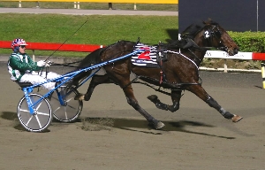 Double; Victorian trainer Larry Eastman is chasing back to back victories in the Queensland Derby at Albion Park this weekend after Menin Gate dominated last year.