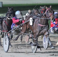 Shadow Sax's owner Pam Hockham drew the pole in the 2YO Colts and Geldings Breeders Crown. 