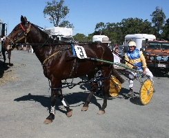 Daryl Reinke and Marchmont Drive will compete in the second trot race at Gympie
