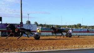 Weasel ends a long run of outs with a victory on the Gympie sand track
