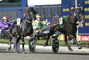 King Kong Cooma won the 2008 Tatlow Stakes final for trotters.