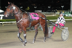 High Five; Trista Dixon becomes the first female driver to land 5 winners at an Albion Park meeting.