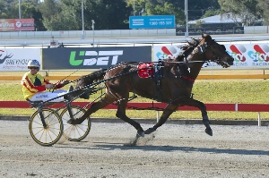 Triple Trio; Star performer Mach Alert is one of three excellent chances for trainer Ian Gurney in Saturday night's Gr.2 $50,000 Be Good Johnny Sprint at Albion Park.