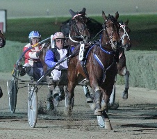 Reina Danzante is favourite to win her Breeders Crown Final on Sunday. 