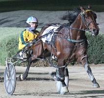 Gavin Lang pilots Philadelphia Man to victory in the Breeders Crown Graduate Free for All. 