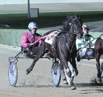 Talented trotting mare Claudys Princess. 