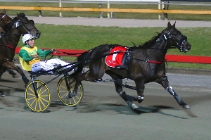 Gotcha; Emerging star Our Hi Jinx sprinted brilliantly to win the Gr.2 $50,000 Be Good Johnny Sprint at Albion Park.