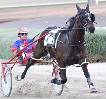 Blacktie Lightning storms to a huge win at Melton. 