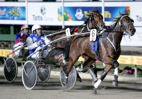 Si Capisco will have to overcome the might of Earl Of Mot to take this weekends Bendigo Bank Bendigo Trotters Cup.