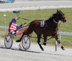 Tabanan and Chris Alford claimed the first supplementary race.