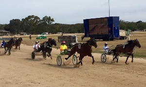 Arber and Michael Bellman cruise to victory in the Wedderburn Pacing Cup. 