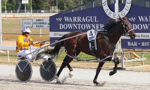 Into You and Rodney Petroff win Race 6 at Warragul on Tuesday. 