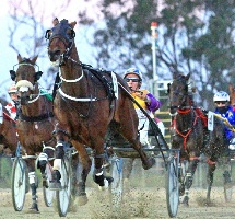 Metro Mike will be eager to hold the front from barrier one in the PETstock Ballarat Pacing Cup.
