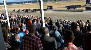 A big crowd watching the action on Ballarat Cup Night at Bray Raceway tonight. 