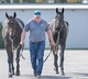 Champion trainer Tim Butt closing in on Queensland move