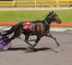 Trainer McKay has consistent pacer Nesters Hill on song for Redcliffe assignment