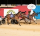 SA Trots - Sadie Jayne will take a power of beating in Southern Cross Final