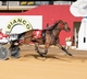 SA Trots - Southern Cross Finals Night Preview