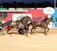 SA Trots - No Notthebuttons could bolster Stewarts wins in SA in the Southern Cross final