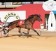 SA Trots - Borg hoping to Get Lucky in the 2024 Pronto United Finances Strathalbyn Trotters Cup