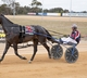 SA Trots - Leading trainer dominates Globe Derby Monday meeting