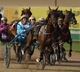 Club Menangle in the driving seat for Team Teal