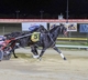 Nine-year-old gelding records overdue win