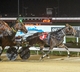 All luck for Hillier trained and driven mare
