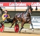 SA Trots - Tembie takes out St Leger for team Afford