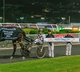 Queensland Harness Racing Wrap - May 7