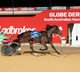 SA Trots - Let Her Roll into the Southern Stars Final