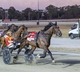 Jilliby Ballerini prevails in Kilmore Trotters Cup