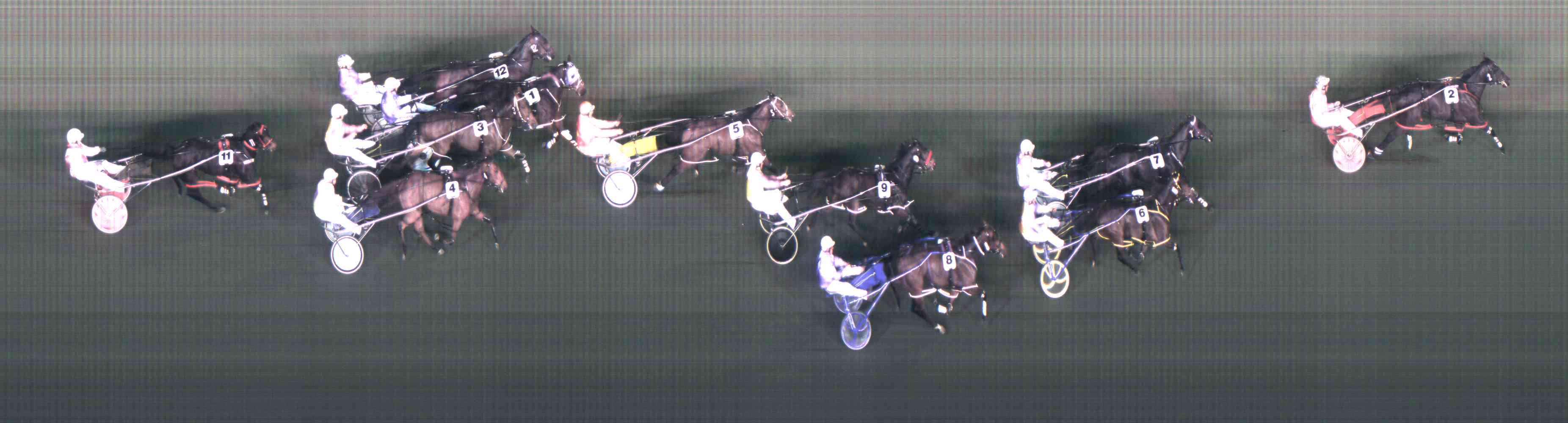 Photo Finish Pictures and Video Race Replays Supplied and Updated on the Website by CFM Technology