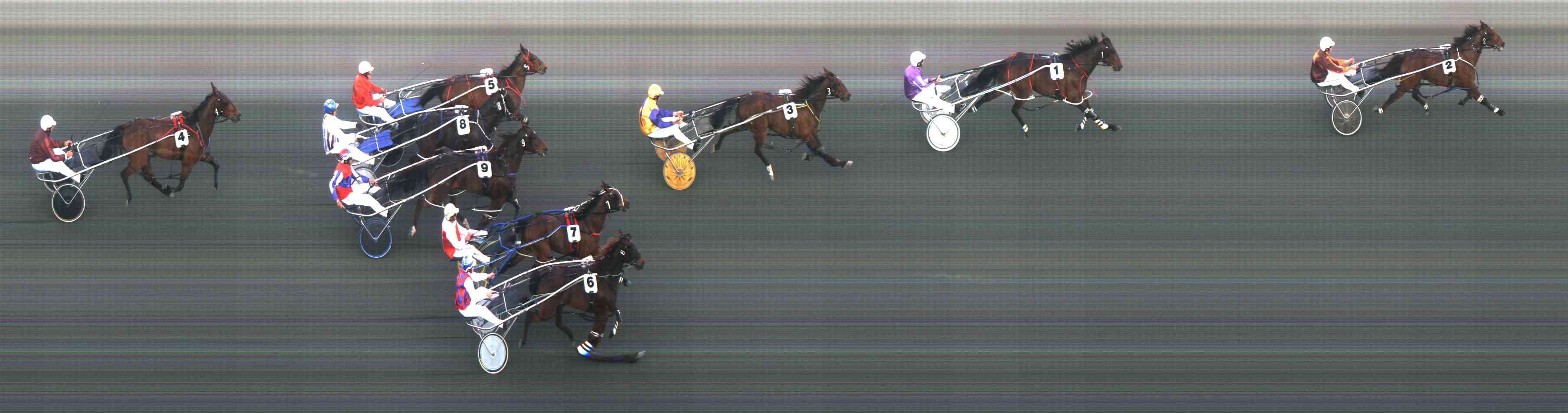 Photo Finish Pictures and Video Race Replays Supplied and Updated on the Website by CFM Technology