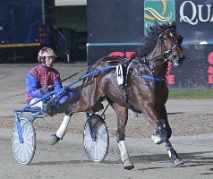 Shared Interest wins at Tabcorp Park Melton as a two-year-old. 