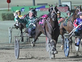 Gotcha; Josh Dickie salutes the crowd as star trotter Speeding Spur claims the Gr.1 Great Southern Star Final at TABCORP Park, Melton.