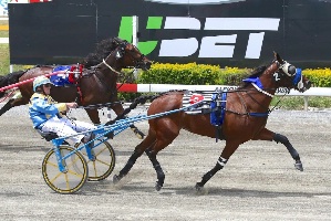 Target; Makarewa Monarch is a leading chance in Saturday night's $20k Jim McNeil Memorial Trotting Championship Final at Albion Park.