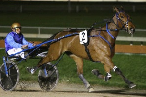 Dominant; Monbet scored another brilliant victory in the Gr.1 $150,000 Rowe Cup at Alexandra Park.