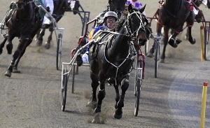 Trainer Barry Howlett is hopeful that one of his trio can beat the favourite El Barcelona.