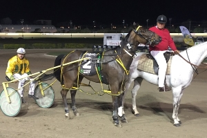 Five Card Draw, winner of the 2016 Redcliffe Gold Cup.
