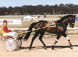 Legend - Popular Alm. 