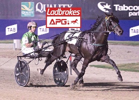 Unbeaten APG graduate The Storm Inside