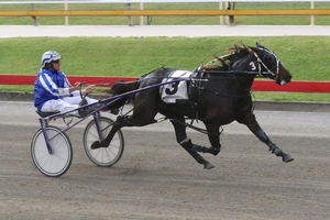 Out of Time; Feature race winning filly Park Life won't be ready for the Queensland Oaks next week.