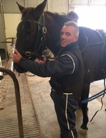 Darren Gauci gearing up a trots horse at Bendigo Training Centre.