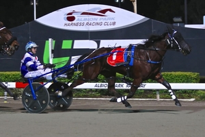 Sold! Dual Oaks winner Shartin has been sold to North American interests