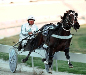 Champion racehorse, the late Courage Under Fire.