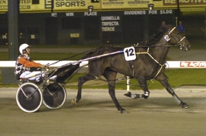 Scruffy Murphy winning the 2008 Peters Ice Cream Easter Cup